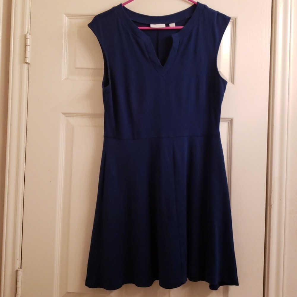 NY and Company Casual dress (Petite)